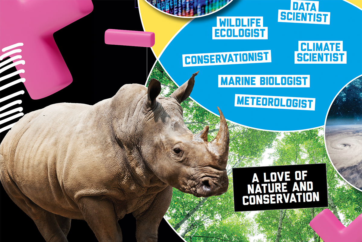 A rhino with a venn diagram showing maths-related words